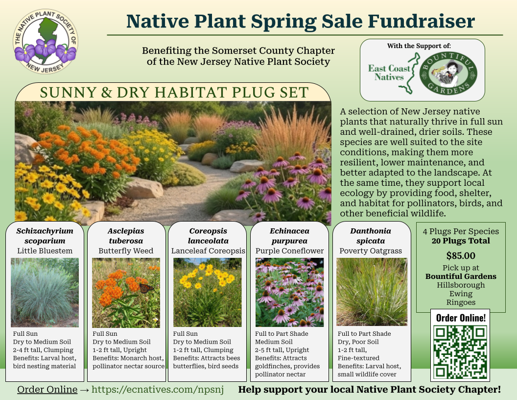 Sunny and Dry Habitat Plug Set