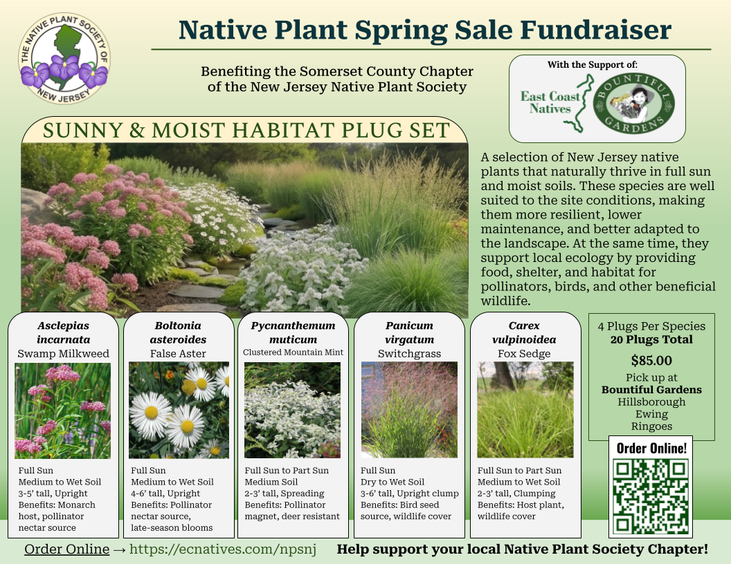 Sunny and Moist Habitat Plug Set